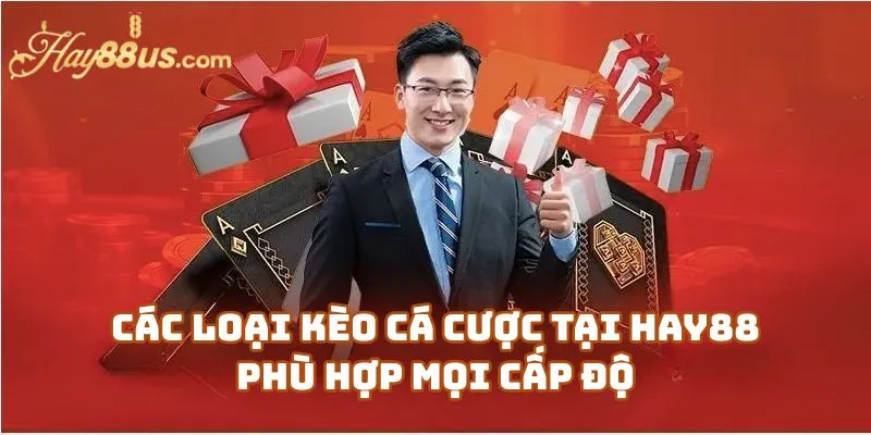 Các Loại Kèo Cá Cược Tại Hay88 Casino Phù Hợp Mọi Cấp Độ Người Chơi