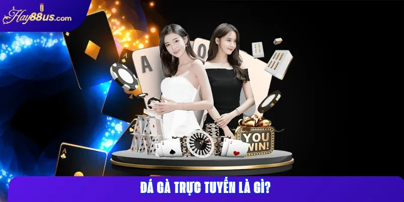 Đá gà trực tuyến là gì