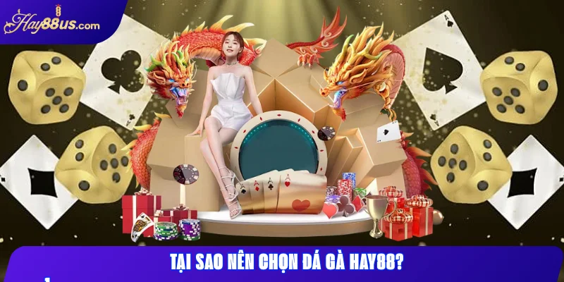 Tại sao nên chọn Đá Gà Hay88?